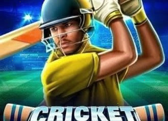Cricket Heroes игра с крикетом